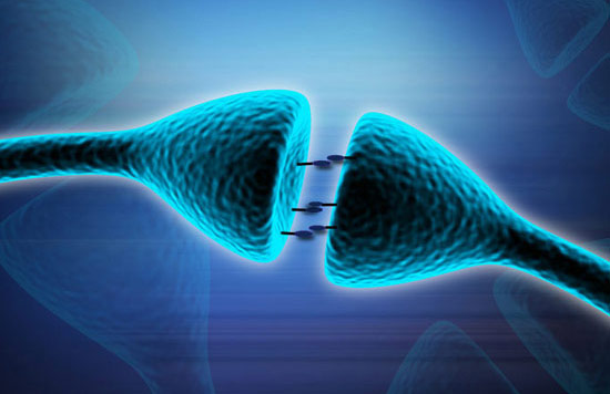 Cellular Communication